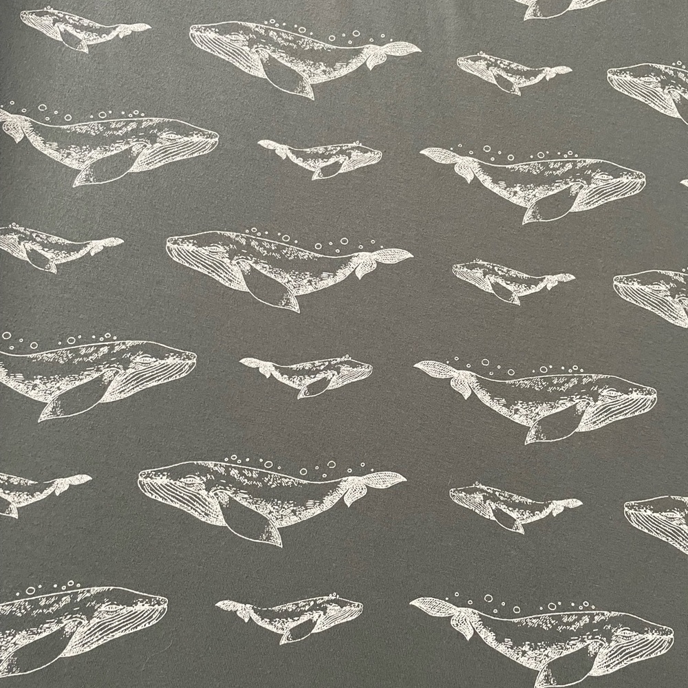 ISO Kate Quinn Whale 🐋